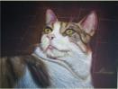 Berto - 2012 - Colored Pencils on black paper - Torino, private collection