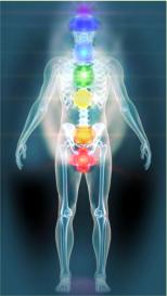 Collocazione anatomica dei 7 chakras principali