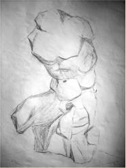 Torse