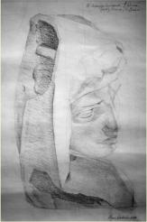 Head, neck, shoulder